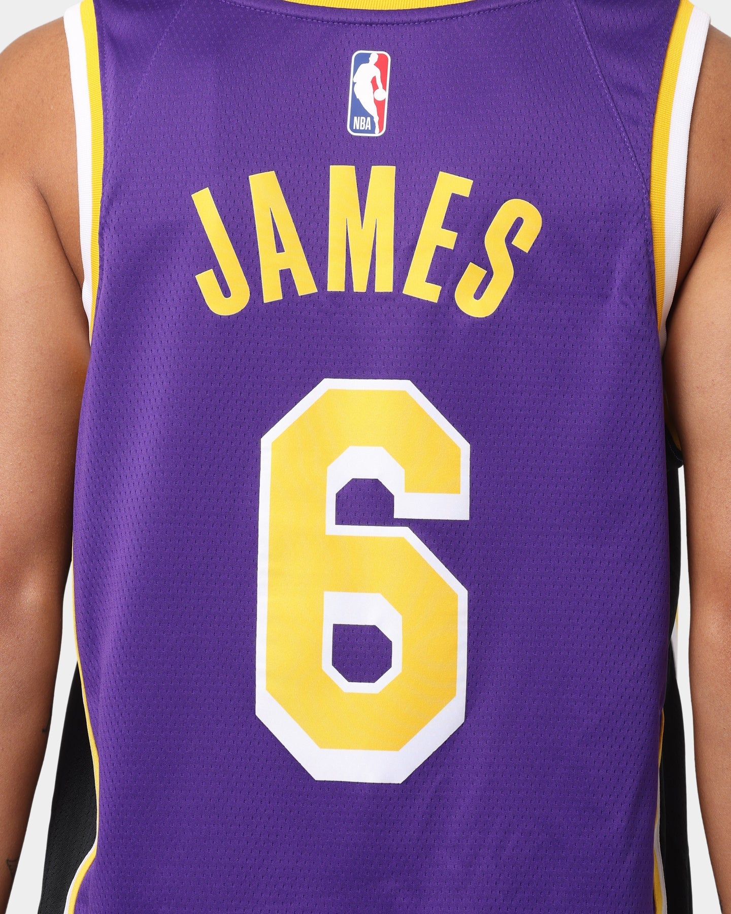 Jordan Los Angeles Lakers LeBron James #6 Statement Jersey Field Purple