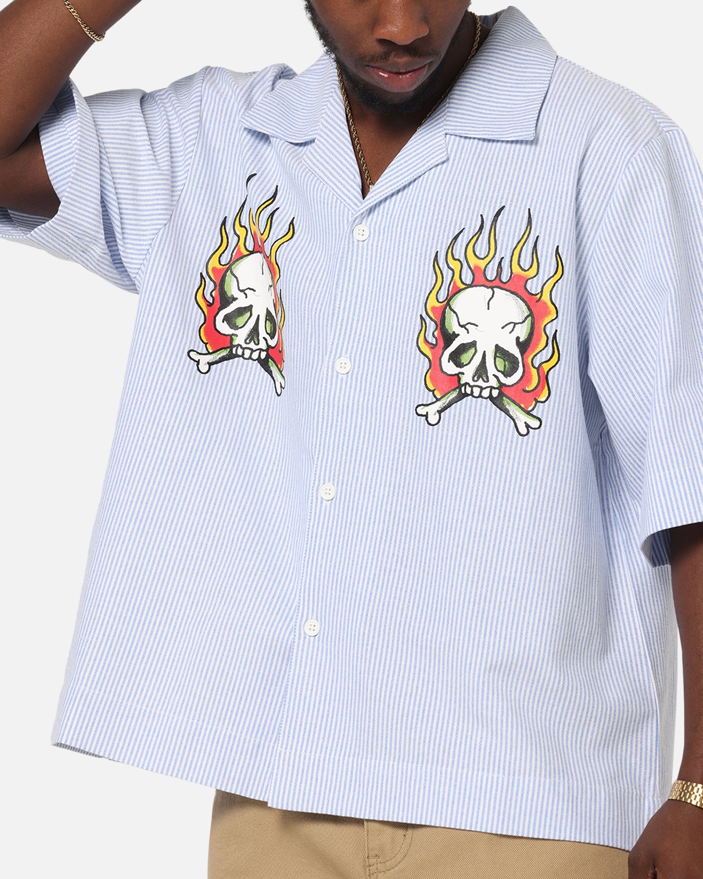 Ed Hardy Flame Stripe Button Up Shirt Blue Pin Stripe