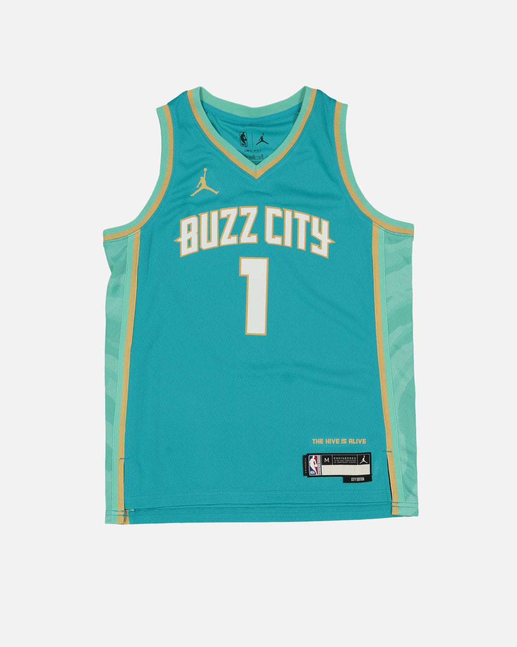 Nike Kids' Charlotte Hornets LaMelo Ball City Edition 2023/24 Swingman Jersey Rapid Teal
